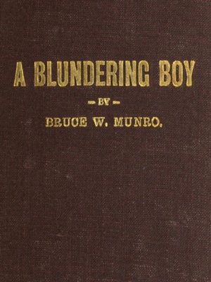 cover image of A Blundering Boy